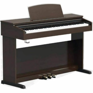 ORLA CDP-1 DLS ROSEWOOD + CUFFIA OMAGGIO