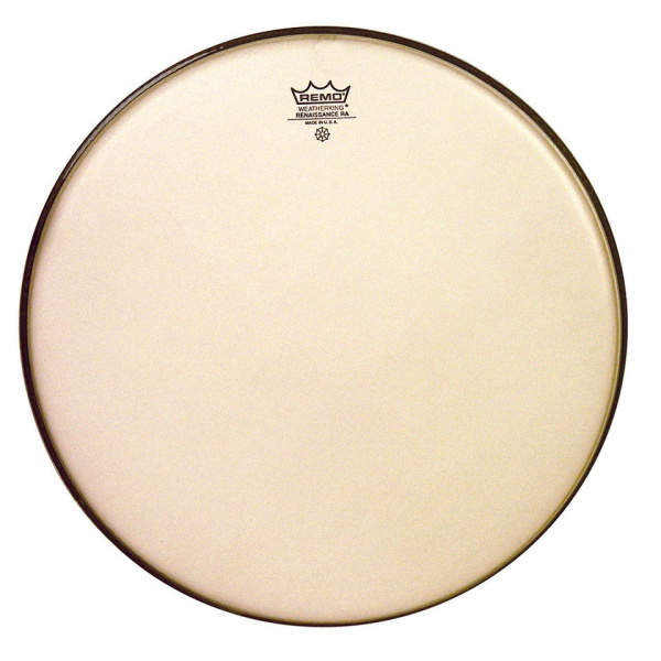 REMO RA-0010-SS RENAISSANCE AMBASSADOR 10"