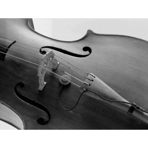 SCHERTLER DYN-C-SET   MICROFONO A CONTATTO PER CELLO B-STOCK