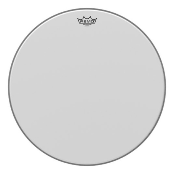 Remo Ambassador BA-0120-00 pelle 20"