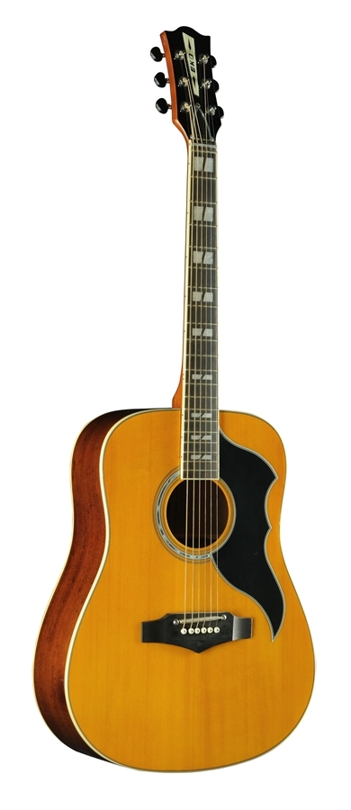 Eko Ranger VI VR EQ Natural Top Stained