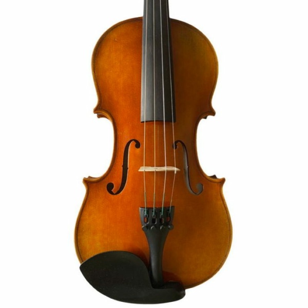 Violino Fareast mod.ANTICATO Fenice acero fiammato