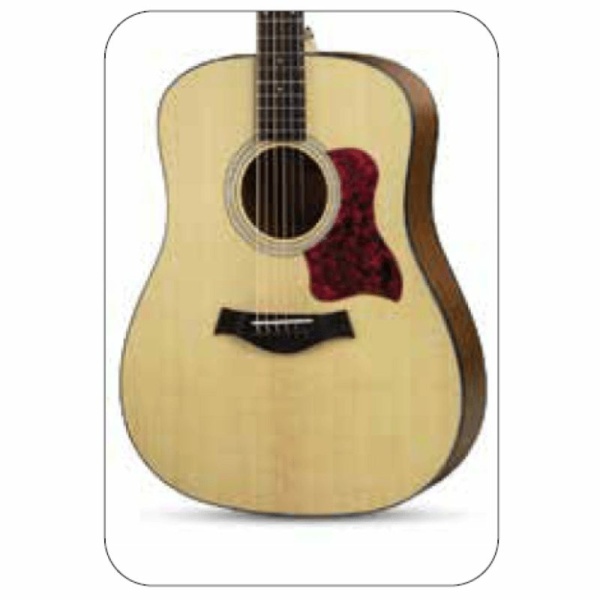 Vermont D100-N Chitarra Dreadnought Natural MS300