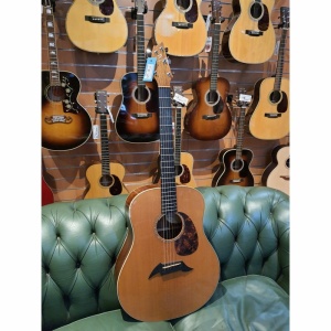 usato Breedlove DS20-SR con custodia