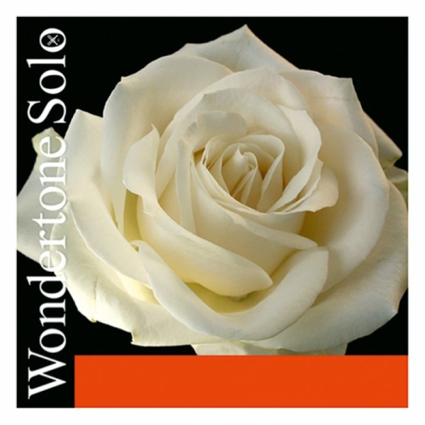 PIRASTRO VO WONDERTONE SOLO 1MI ADVANCED-STEEL BALL 26 315221