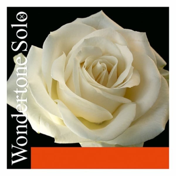 PIRASTRO VO WONDERTONE SOLO 3RE ARGENTO 410321