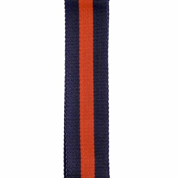 BAM TRACOLLA PER ASTUCCIO VIOLINO/VIOLA 9002BR  BLU & RED
