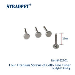 STRADPET TITANIO SET 4 VITI DA 22mm LUCIDE