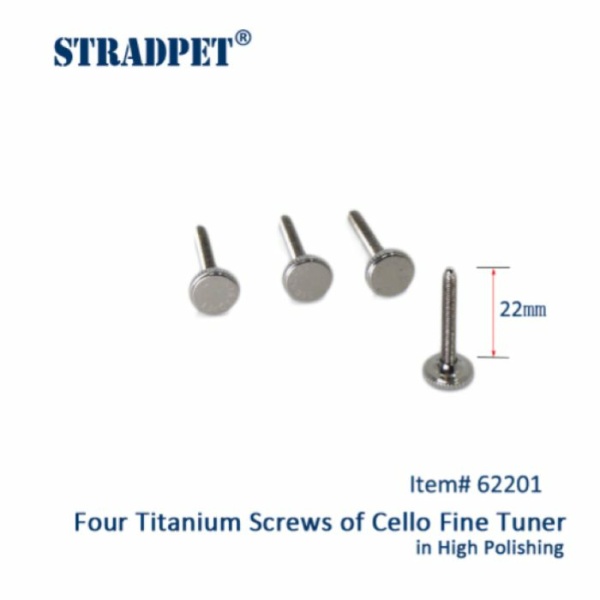 STRADPET TITANIO SET 4 VITI DA 22mm LUCIDE