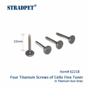 STRADPET TITANIO SET 4 VITI DA 22mm SATINATE GUN GRAY