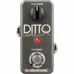 TC Electronic Ditto Looper