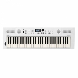 Roland GO:KEYS-5-WH Tastiera 61 Tasti Banca