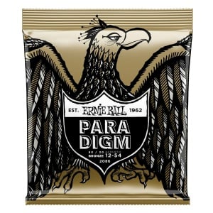 Ernie Ball Paradigm 2086 Bronze Medium Light