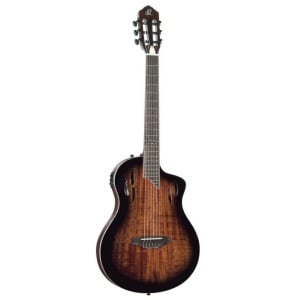 Ortega Tourplayer RTPDLX-ACA