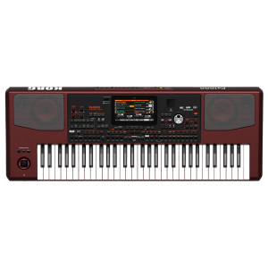 PA1000 ARRANGER 61 TASTI