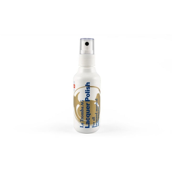 LAQUER POLISH PULENTE PER LACCATURE