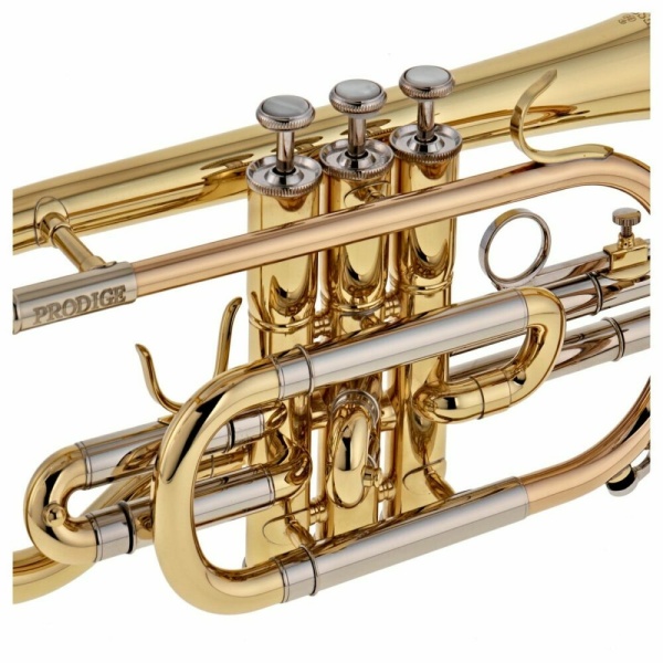 BE120-1-0 CORNETTA LACCATA