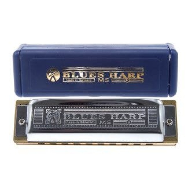 532/20 DO MS BLUES HARP 20 VOCI ARMONICA
