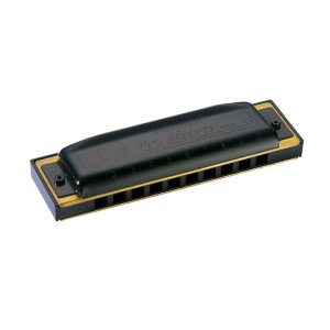 562/20 DO MS PRO HARP 20 VOCI ARMONICA