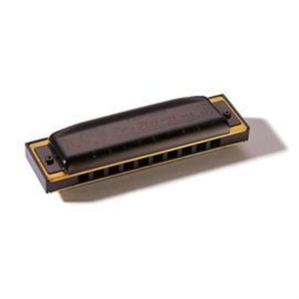 562/20 LA MS PRO HARP 20 VOCI ARMONICA