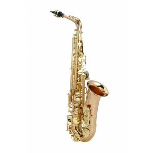 A-WO2 PROFESSIONAL SAX ALTO