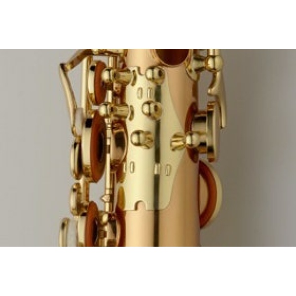 T-WO2 PROFESSIONAL SAX TENORE