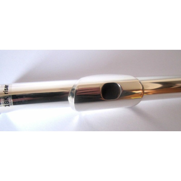 TESTATA IN ARGENTO 18K GOLD RISER