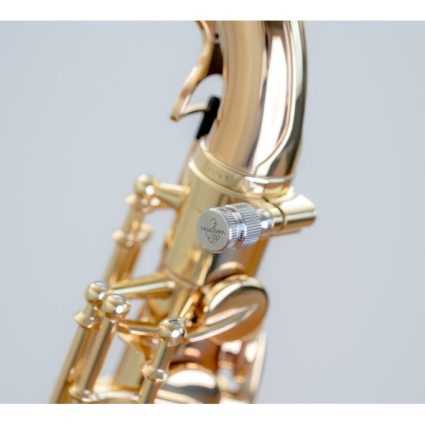 YANY BOOSTAR VITE PINK GOLD PER CHIVER YANAGISAWA/ SELMER