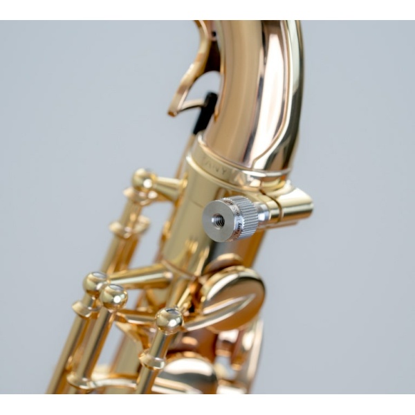 YANY BOOSTAR VITE PINK GOLD PER CHIVER YANAGISAWA/ SELMER