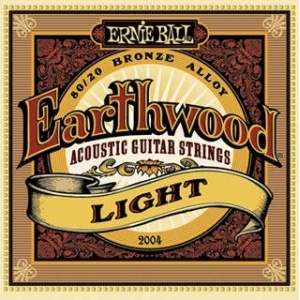 2004 LIGHT EARTHWOOD 11/052