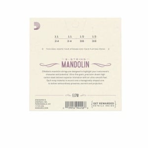 EJ70 PHOSPHOR BRONZE MANDOLIN 11/38 SET CORDE