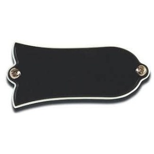 PRTR-010 TRUSS ROD COVER BLANK