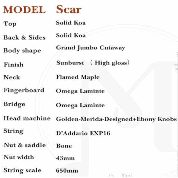 SCAR-EH JUMBO CHITARRA ACUSTICA