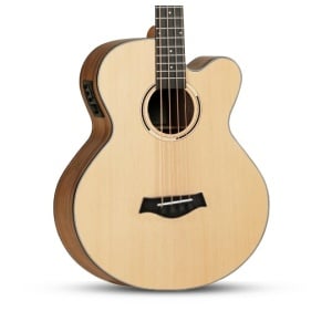B100CE-N BASSO ACUSTICO