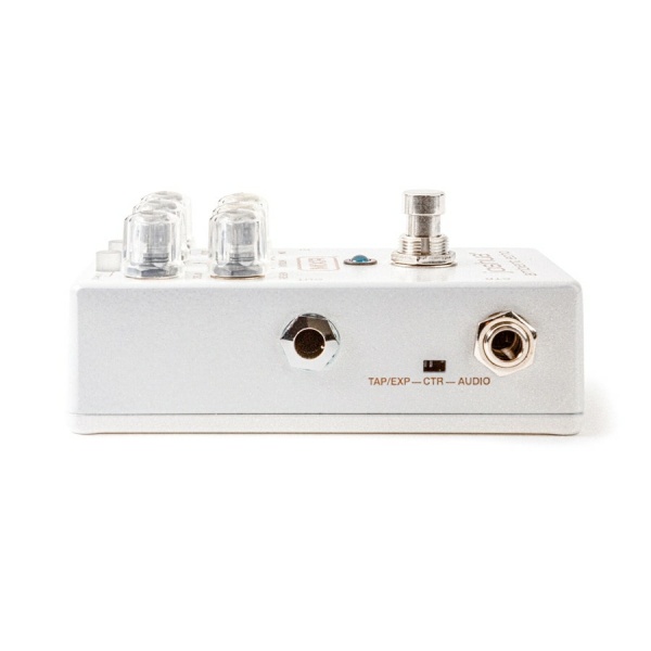 M309 JOSHUA AMBIENT ECHO PEDALE