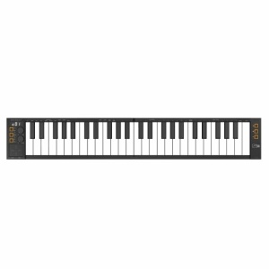 BLACKSTAR CARRY ON MIDI CONTROLLER 49