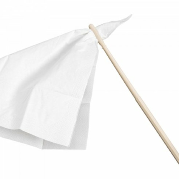 HOHNER CLEANING ROD