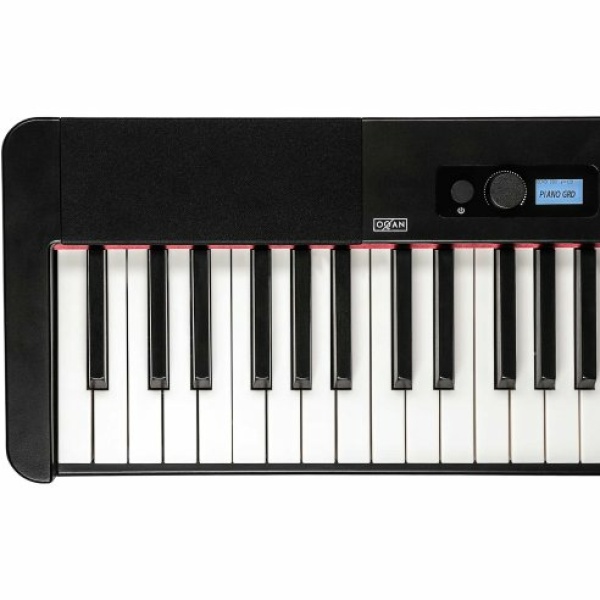 OQAN QP100 DIGITAL PIANO