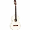 ORTEGA R121SNWH