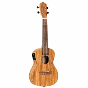 ORTEGA RFU11ZE