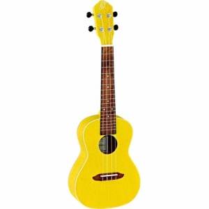 ORTEGA RUSUN