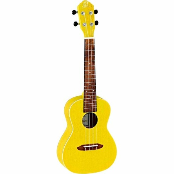 ORTEGA RUSUN