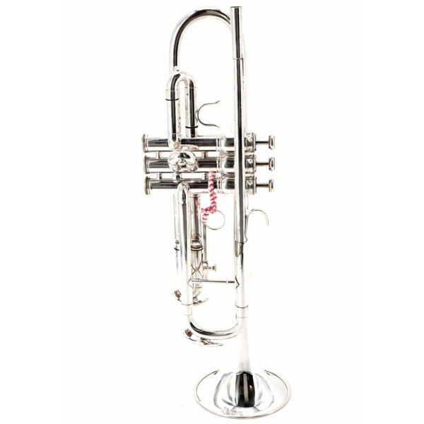 600 ARGENTATA TROMBA SIB
