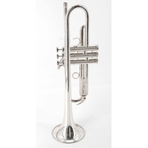 B5 ARGENTATA TROMBA SIB