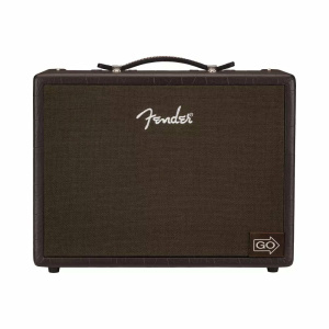 FENDER ACOUSTIC JUNIOR GO