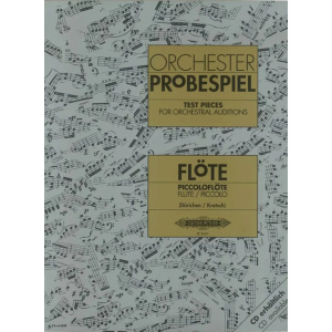 Orchester Probespiel Flöte/Piccoloflöte
