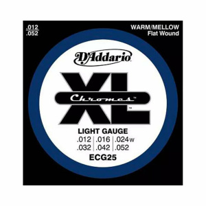 D’ADDARIO - ECG25 12-52