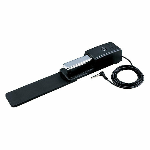 ROLAND - DP10