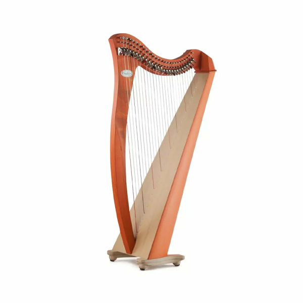 ARPA SALVI JUNO 27