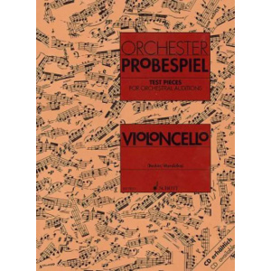 ORCHESTER PROBESPIEL Violoncello